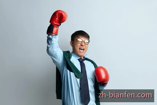 开奖期号与号码查询界面示意
